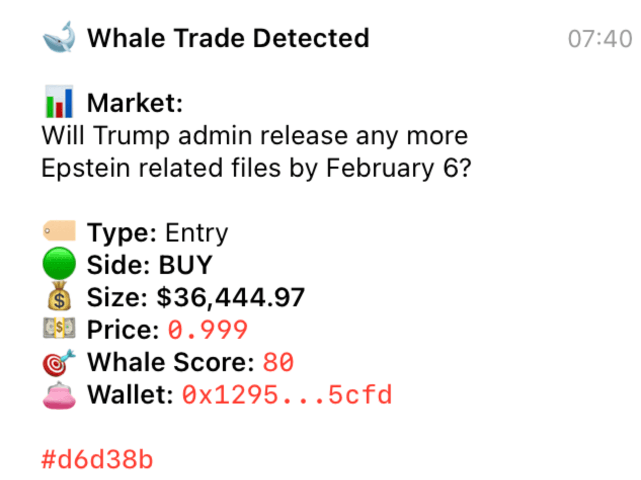 Real SightWhale Telegram alert screenshot 9